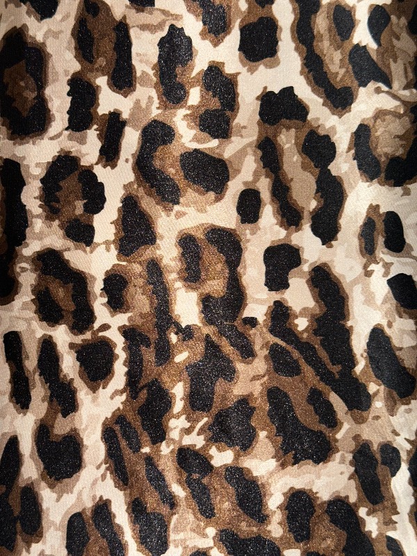 Zara in small leopard print